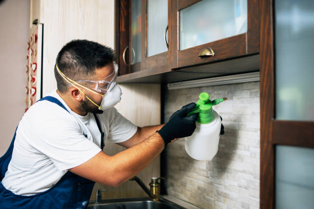 Best Best Pest Control Companies  in Weedsport, NY