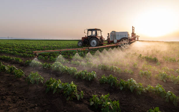 Best Pest Inspection Near Me  in Weedsport, NY