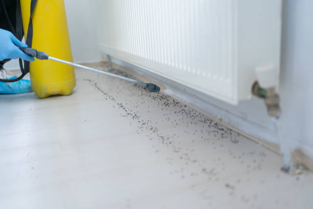 Best Emergency Pest Control  in Weedsport, NY