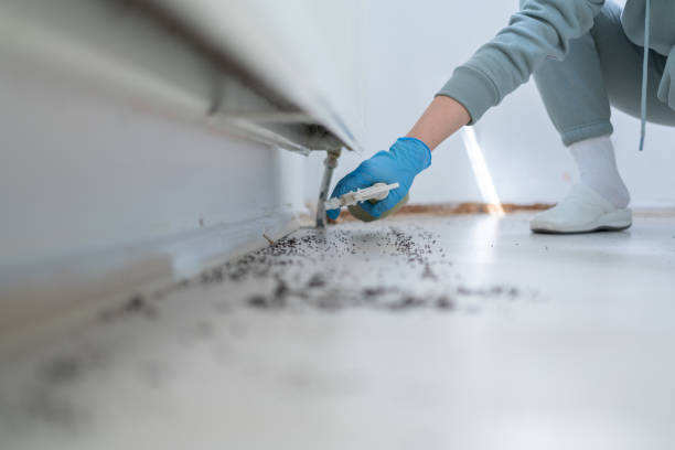 Best Pest Control Treatment  in Weedsport, NY